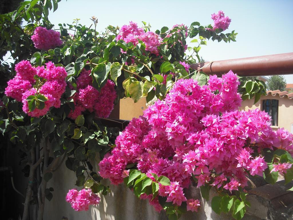 B&B Hibiscus Capoterra Ngoại thất bức ảnh